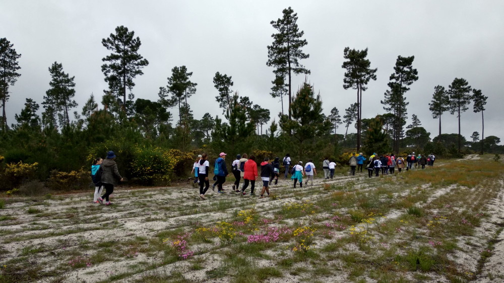 Associação de Moradores de Albergaria organizou Caminhada de Abril