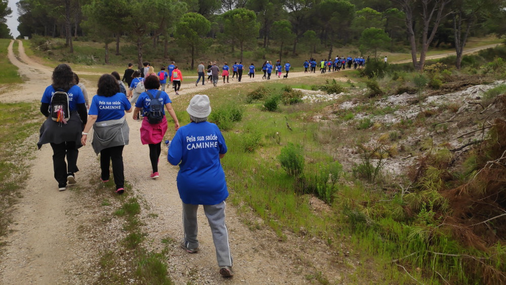 Caminheiros pisaram "Areias Soltas" em Foros de Albergaria