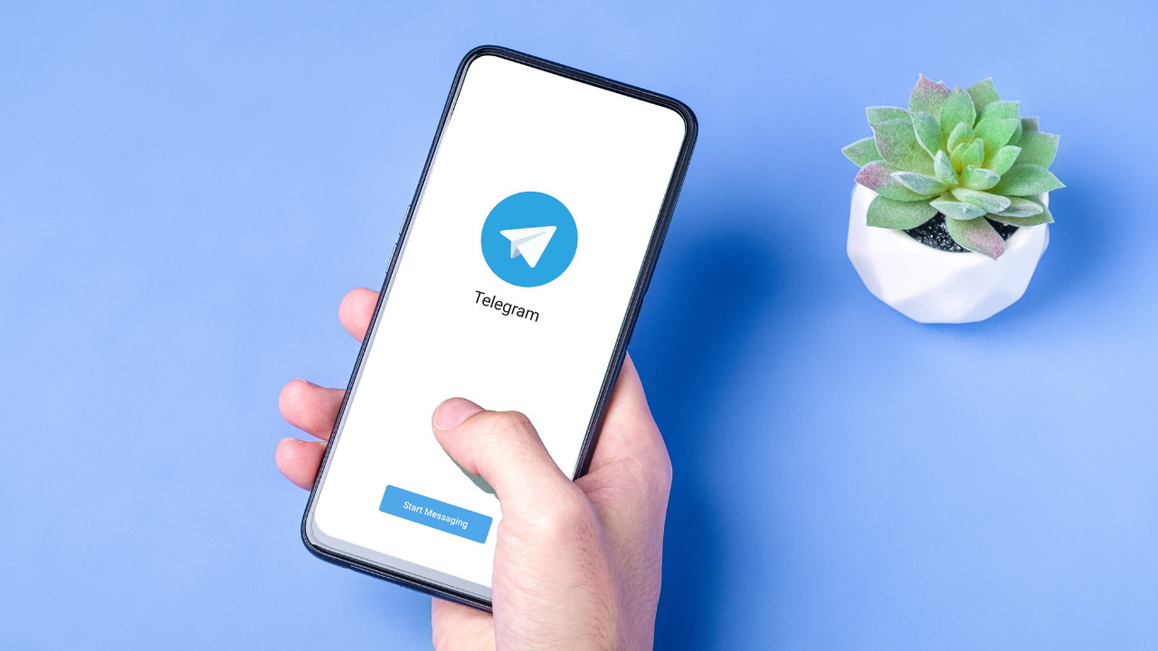 UF Alcácer do Sal lança canal no Telegram